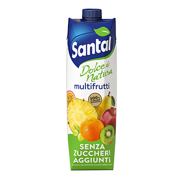 Vegyes Gyümölcslé 1L Santal