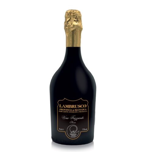 Lambrusco Rosso Secco Provincia di Mantova IGP Polini-Trida