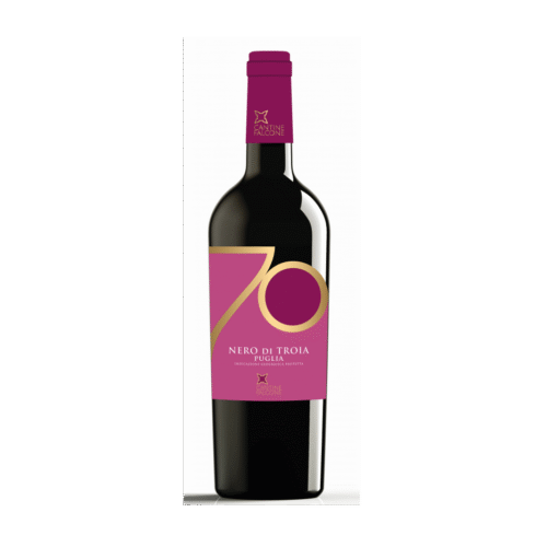 Nero di Troia Puglia IGP 2022 "Linea 70" Cantine Falcone