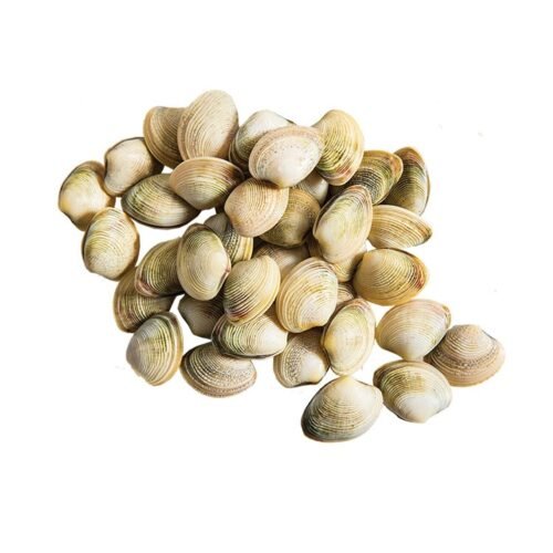Vénuszkagyló KV60 fagyasztott, előfőzött 0% glazúr - Vongole surgelate precotte 1kg